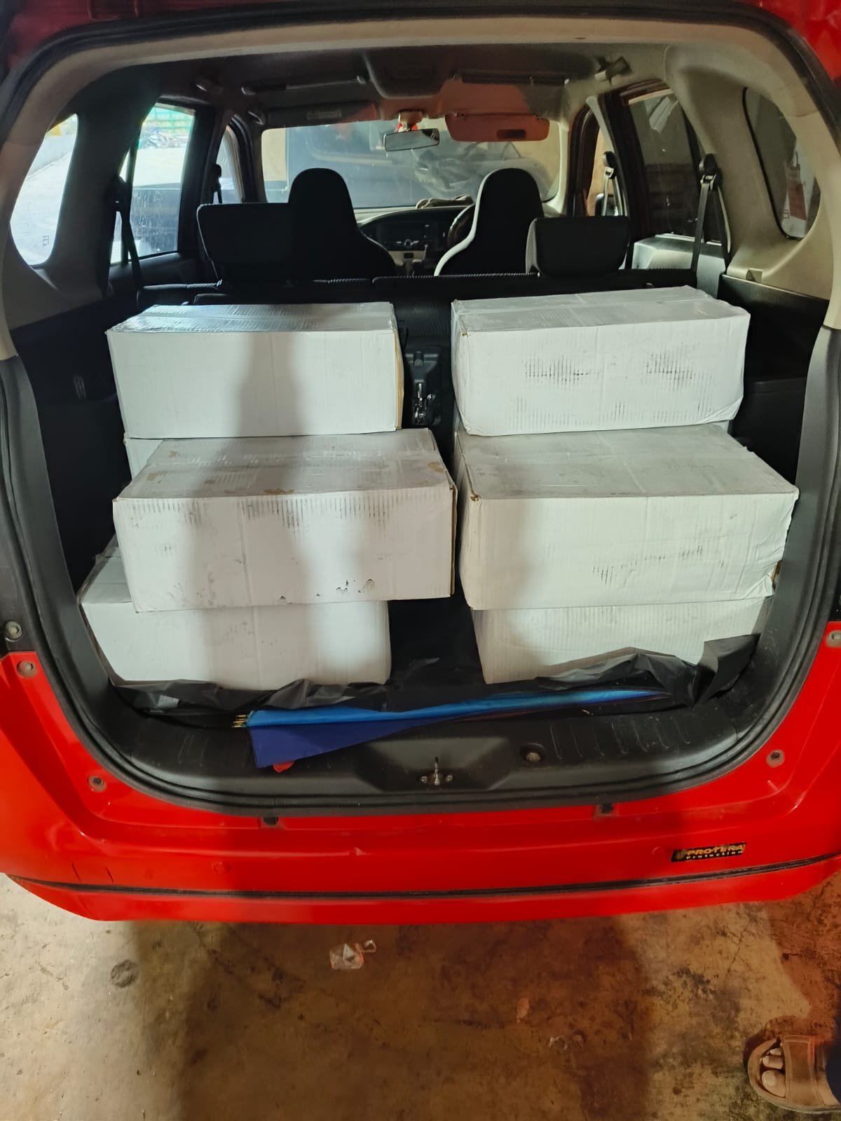 Pengiriman Sayap Ayam Frozen Grosir Jakarta