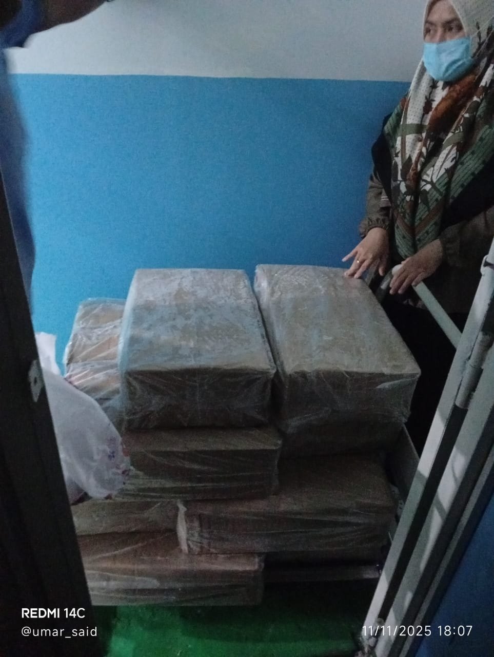 Pengiriman Sayap Ayam Frozen Grosir SS Jakarta